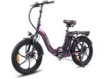Fafrees F20 Pro Fat Bike Elettrica Pieghevole 250W 36V 20Ah Ruote 20'' Meccanica Viola