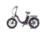 Fafrees F20 Pro Fat Bike Elettrica Pieghevole 250W 36V 20Ah Ruote 20'' Meccanica Viola - immagine 2