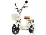iScooter Y16 Monopattino Elettrico 1200W 48V 20Ah Ruote Grandi 14'' Bianco