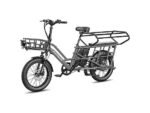 Fafrees FF20 CUV Fat Bike Elettrica Pieghevole 250W 1440Wh